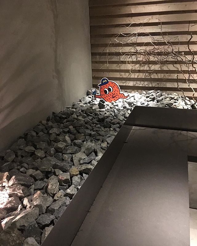 midnight #Mosh'sworldtrip