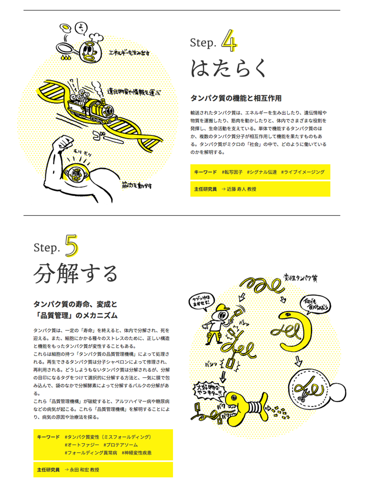 京都産業大学 生命とタンパク質の世界 Works Tada Yukihiro タダユキヒロ Illustrator イラストレーター